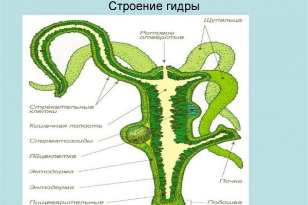 Блэкспрут официальный blacksprut2web in