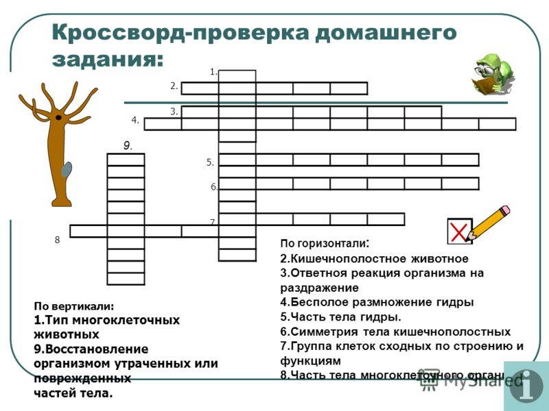 Клирнет как попасть blacksprut adress com